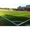 泰安七人制足球场人造草坪每平米多少钱