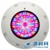 塑料挂壁式LED泳池节能灯|295MM直径|LED144珠10W