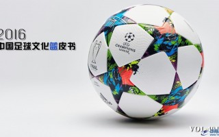 2016中国足球文化蓝皮书