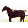 耐用马套/拉不断的马挽具/马笼头/设计最合理的马挽具YC-WJ002