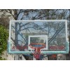 广东厂家直销供应篮球板（钢化玻璃篮球板，纤维篮球板）