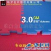 定做 跆拳道垫子  硬度颜色自选-多种质量  专业生产价格最低！