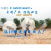 批发供应我厂最新开发的产品充气碰碰球,充气碰球